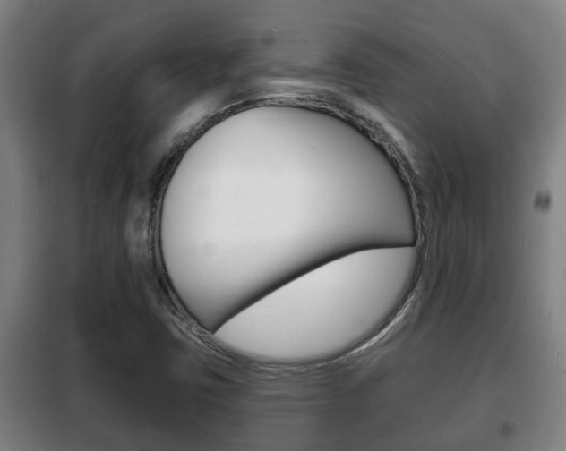 X0000102221403200807250735