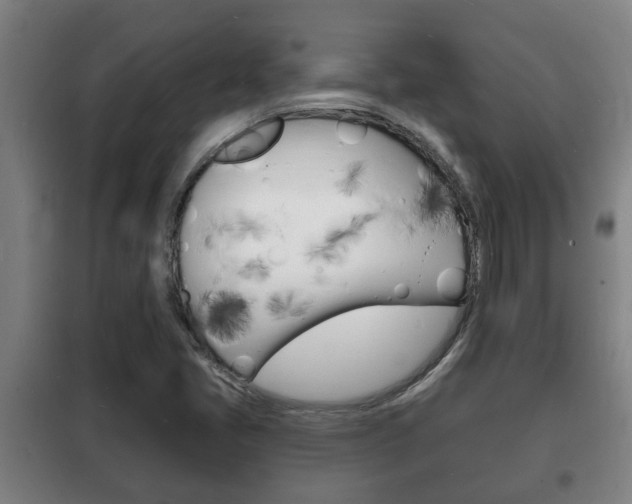 X0000102221405200807250735