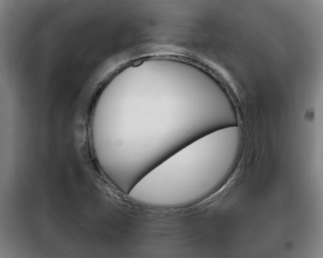X0000102221407200807250735