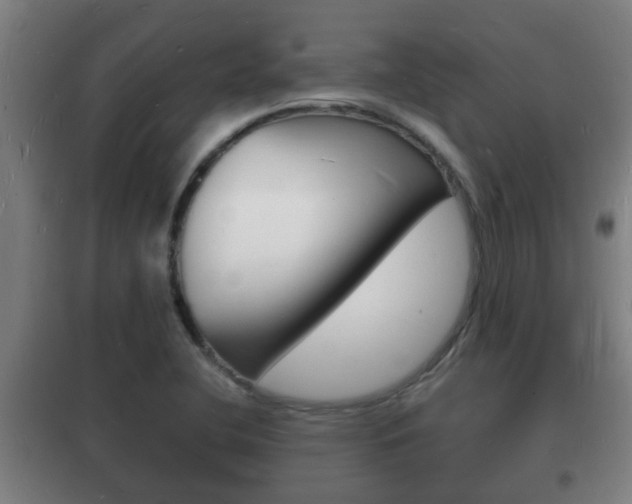 X0000102221412200807250735
