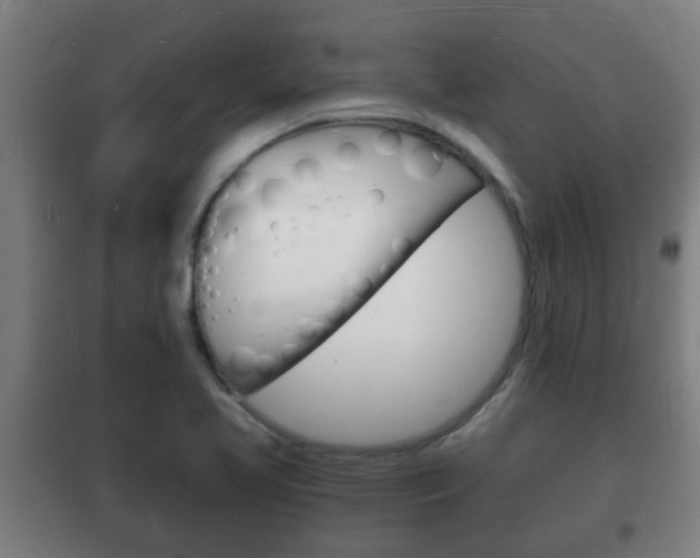 X0000102221413200807250735