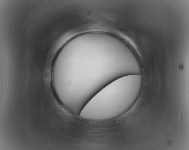 X0000102221415200807250735