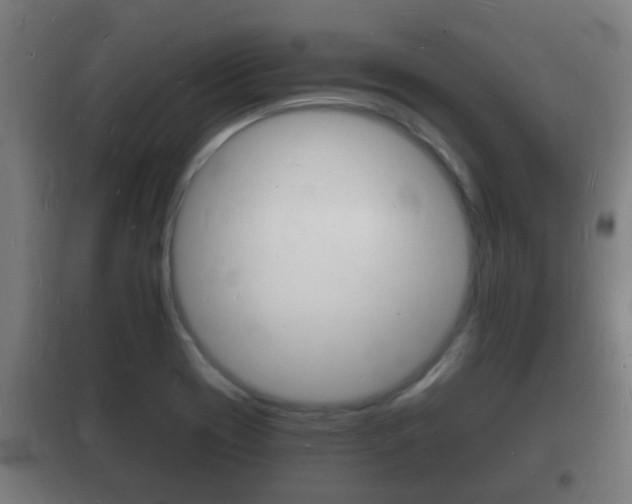X0000102221417200807250735