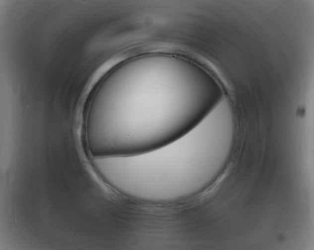 X0000102221418200807250735