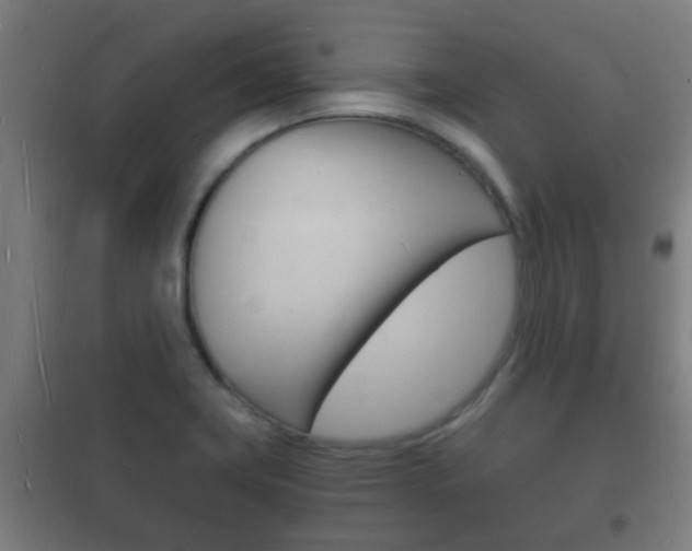 X0000102221419200807250735