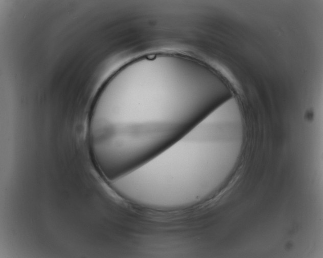 X0000102221420200807250735