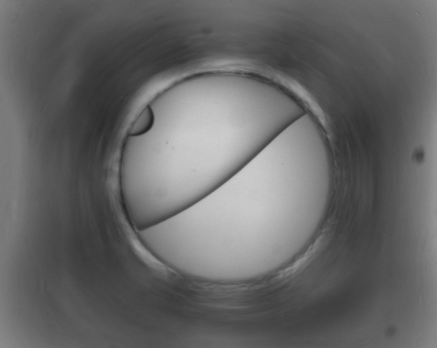 X0000102221421200807250735