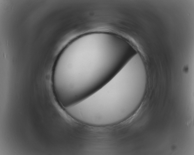 X0000102221422200807250735