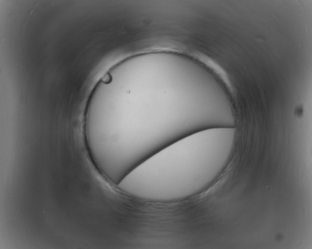 X0000102221423200807250735