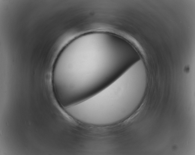 X0000102221424200807250735