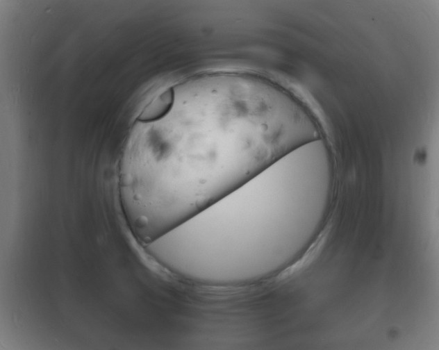 X0000102221425200807250735