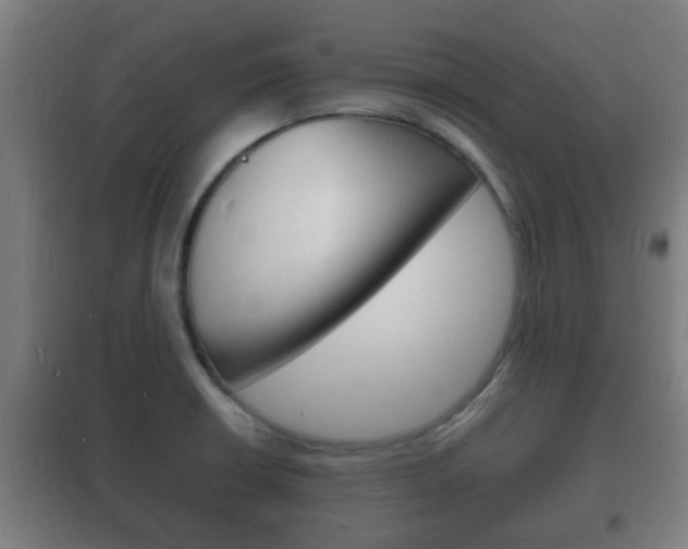 X0000102221426200807250735