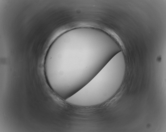X0000102221427200807250735