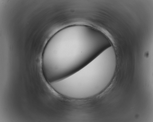X0000102221428200807250735