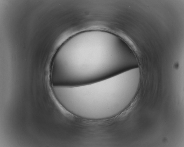 X0000102221430200807250735