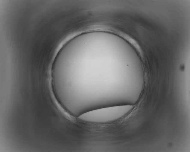 X0000102221431200807250735