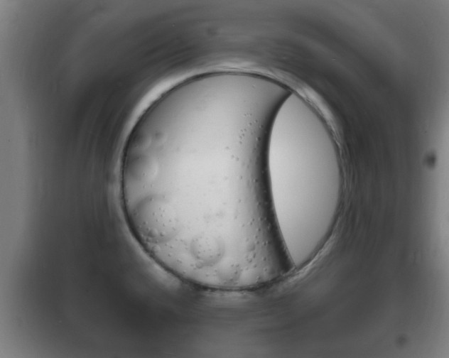 X0000102221432200807250736