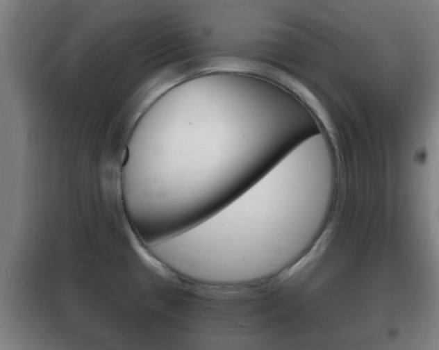 X0000102221433200807250736