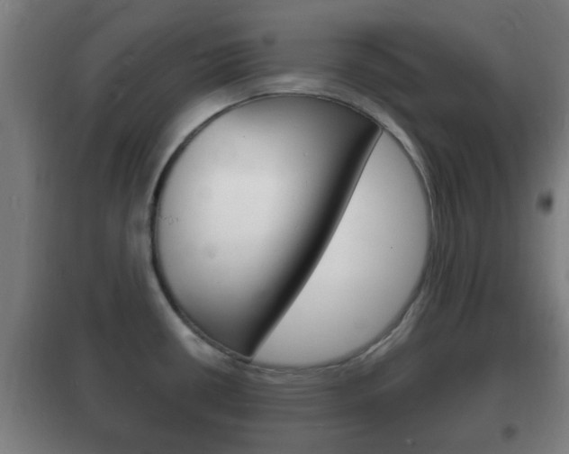 X0000102221434200807250736