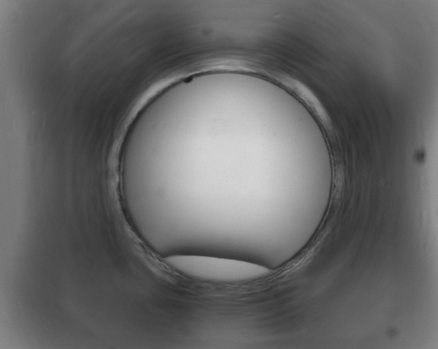 X0000102221435200807250736