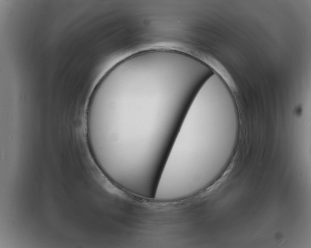 X0000102221436200807250736