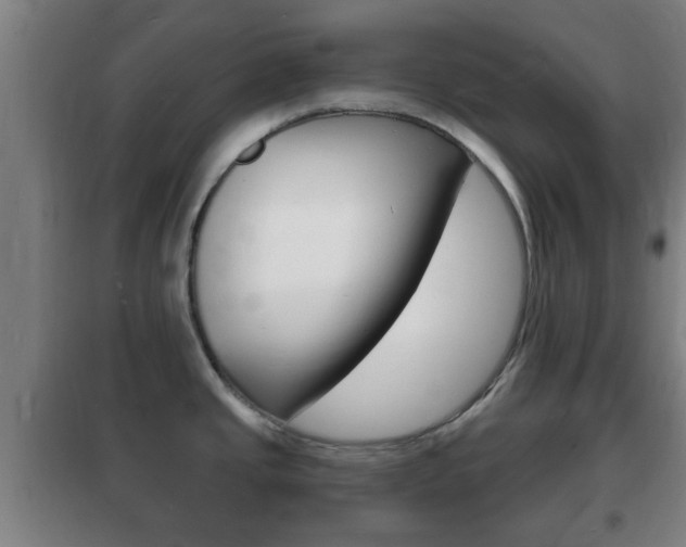 X0000102221437200807250736