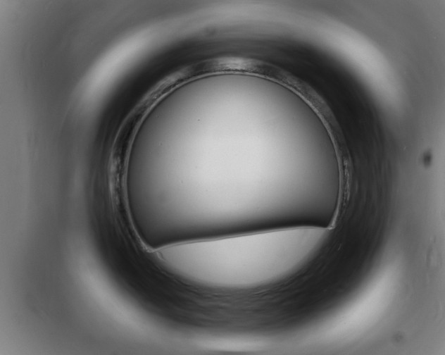 X0000102221438200807250736