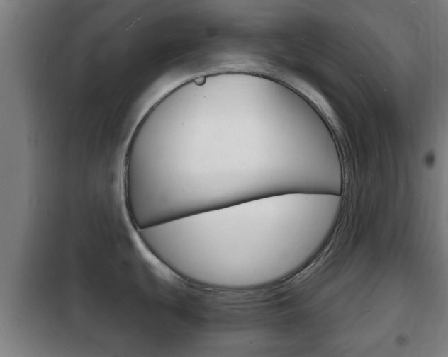X0000102221439200807250736