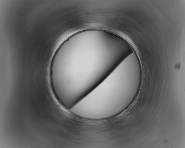 X0000102221440200807250736