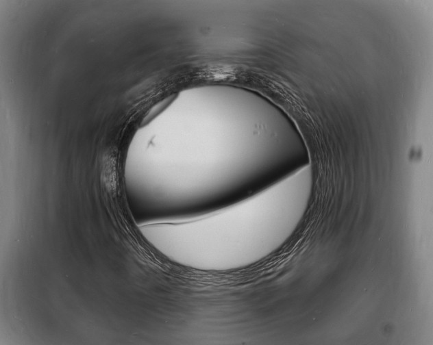 X0000102221442200807250735