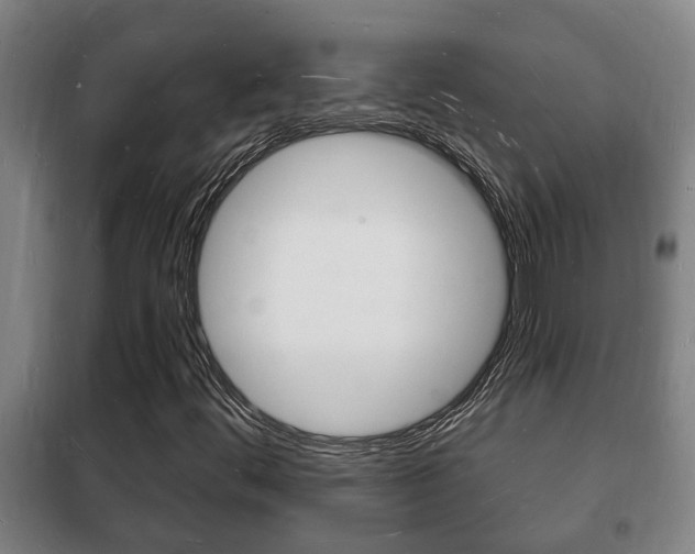 X0000102221444200807250735