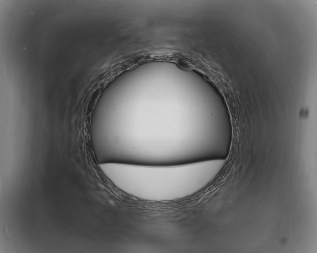 X0000102221445200807250735