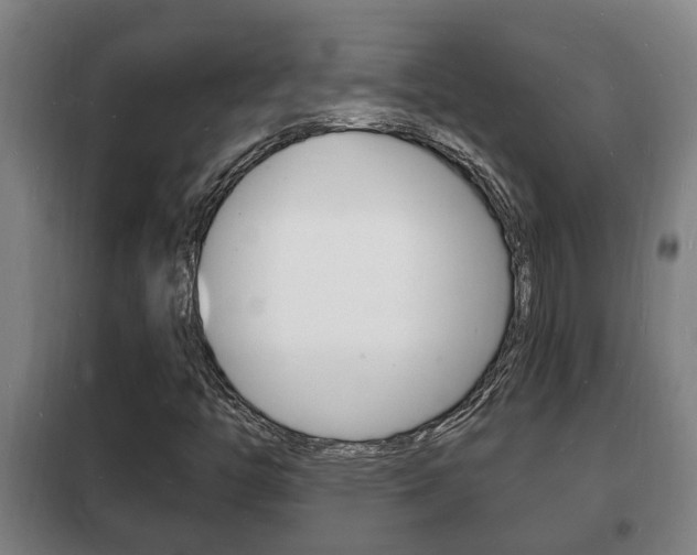 X0000102221446200807250735