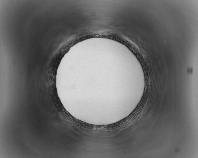 X0000102221447200807250735
