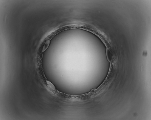 X0000102221448200807250735