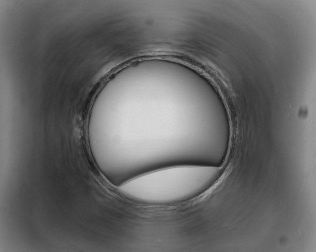 X0000102221449200807250735