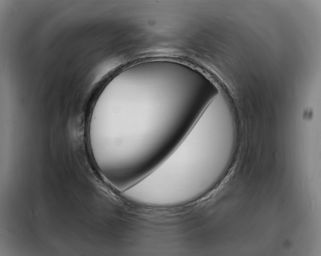 X0000102221450200807250735