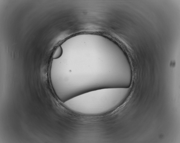 X0000102221451200807250735