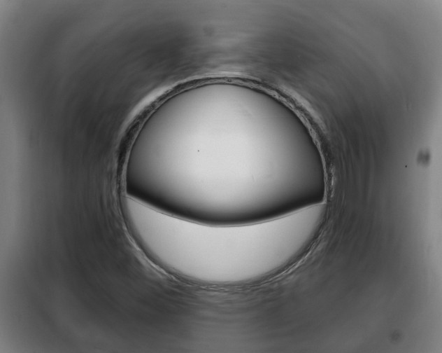 X0000102221452200807250735