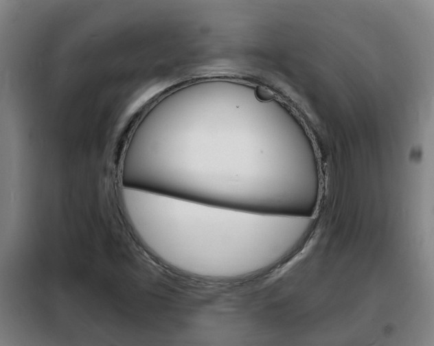 X0000102221453200807250735