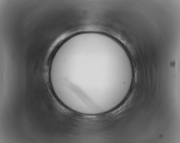 X0000102221454200807250735