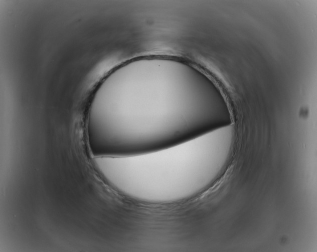 X0000102221455200807250735