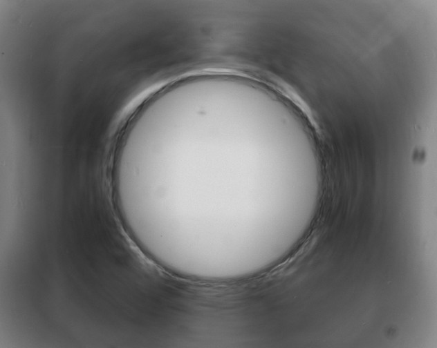 X0000102221456200807250735