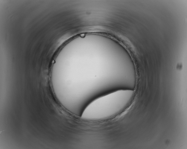 X0000102221457200807250735
