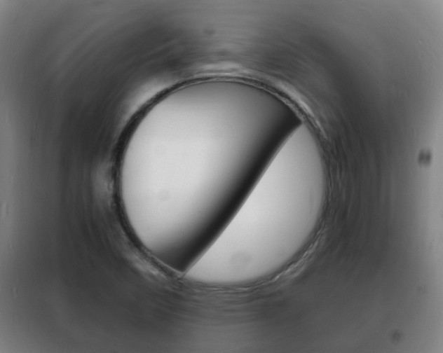 X0000102221458200807250735