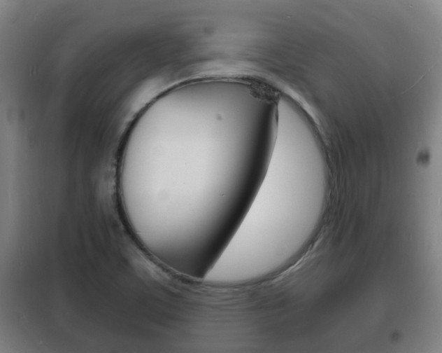 X0000102221459200807250735