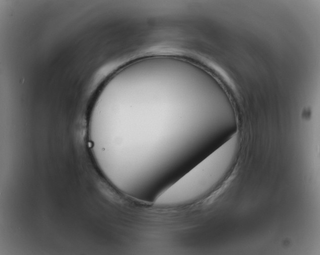 X0000102221461200807250735