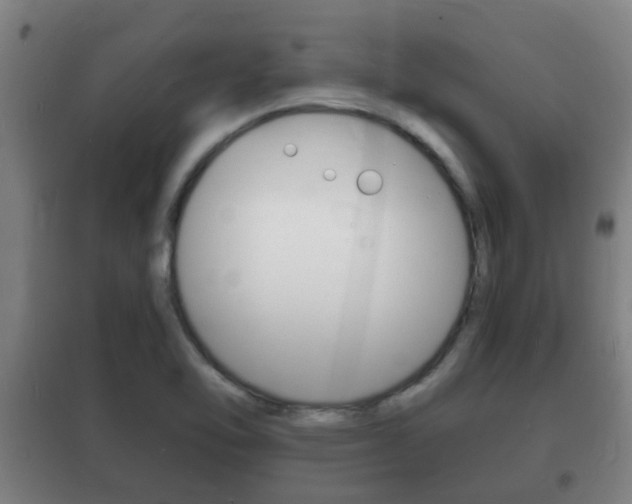 X0000102221462200807250735