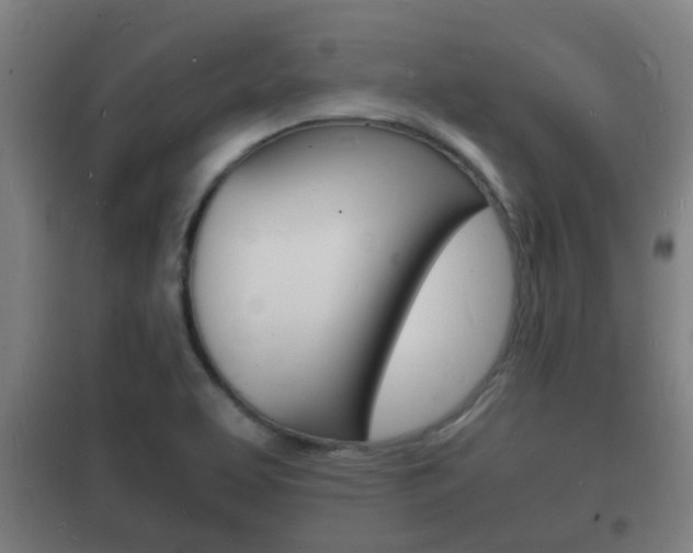 X0000102221463200807250735