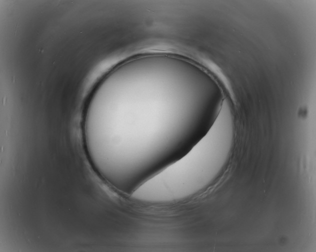 X0000102221464200807250735